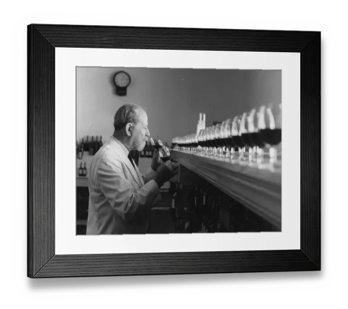 Framed Print : He Nose You Know Framed Print : He Nose You Know