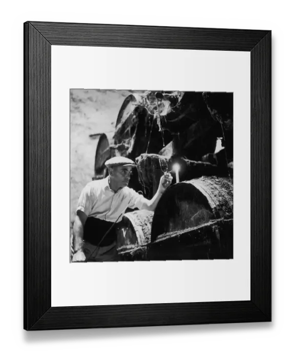 Framed Print : Sherry Inspection Framed Print : Sherry Inspection