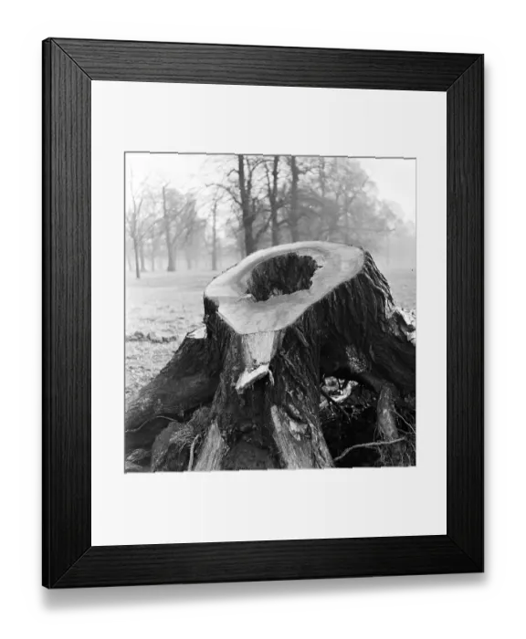 Framed Print : Heart Stricken Framed Print : Heart Stricken