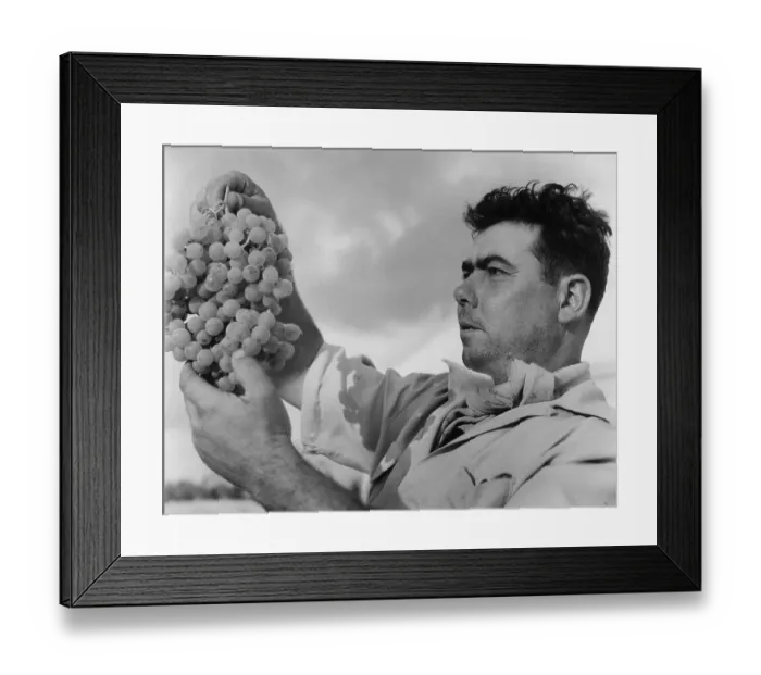 Framed Print : Better In The Bottle Framed Print : Better In The Bottle