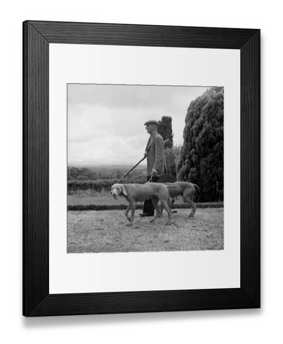 Framed Print : Grey Ghosts