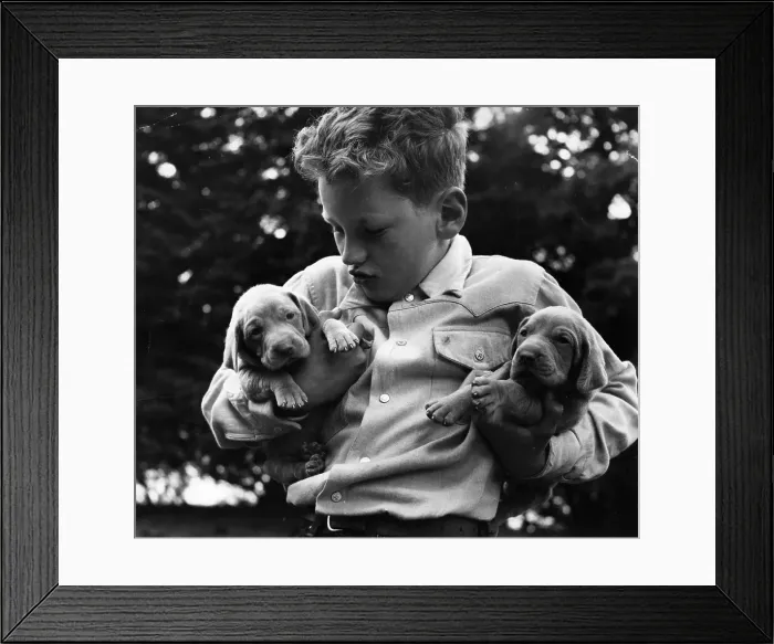 Framed Print : Grey Ghost Framed Print : Grey Ghost