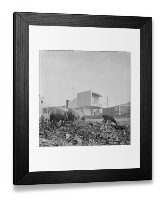 Framed Print : Modern Housing In Morocco, 1954 Framed Print : Modern Housing In Morocco, 1954