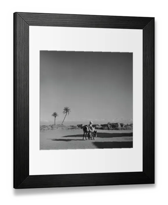 Framed Print : A Moroccan Man With A Mule Framed Print : A Moroccan Man With A Mule
