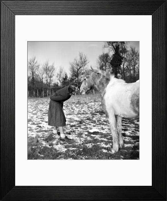 Framed Print : Her Little Pony Framed Print : Her Little Pony