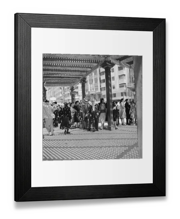 Framed Print : Spanish Shade Framed Print : Spanish Shade