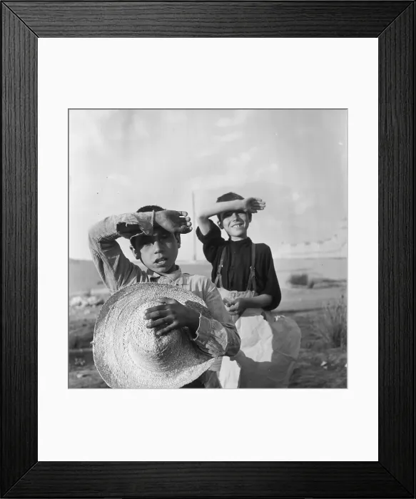 Framed Print : Small Senors Framed Print : Small Senors