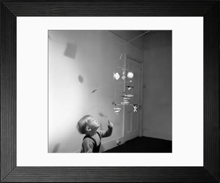 Framed Print : It's A Mobile Framed Print : It's A Mobile