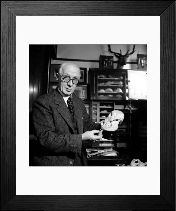Framed Print : Piltdown Hoax Framed Print : Piltdown Hoax
