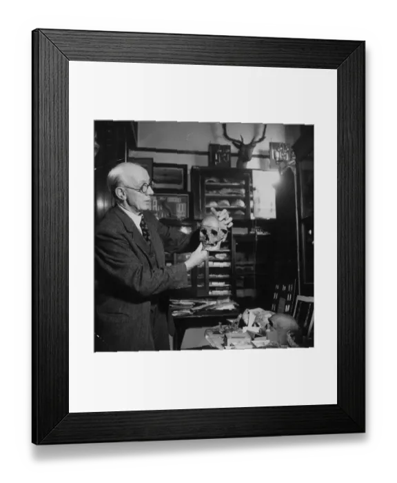 Framed Print : Piltdown Hoax Framed Print : Piltdown Hoax