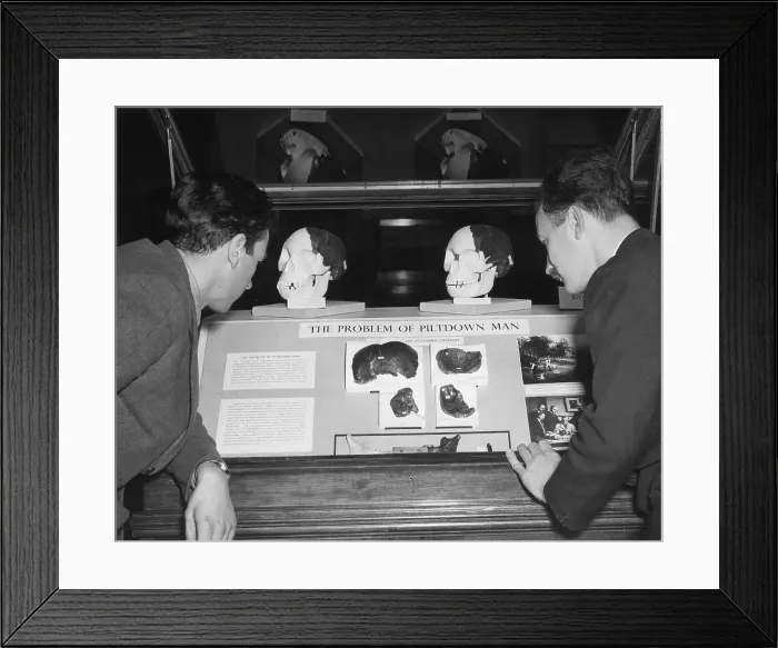 Framed Print : Piltdown Man Display Framed Print : Piltdown Man Display