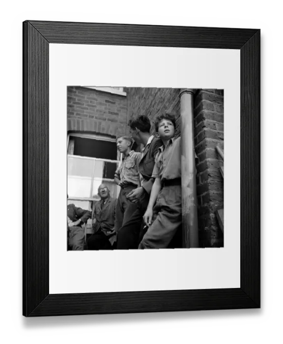 Framed Print : Bird Watching Framed Print : Bird Watching