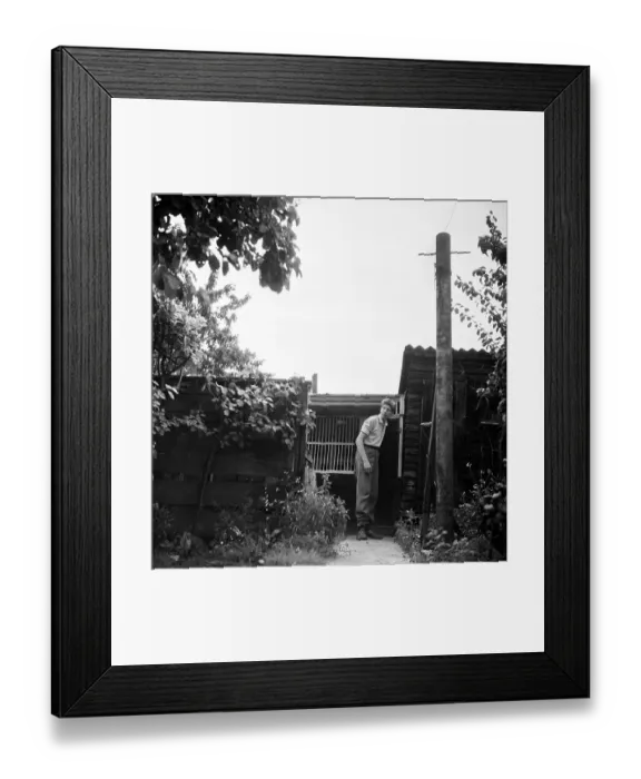 Framed Print : Pigeon Fancier Framed Print : Pigeon Fancier