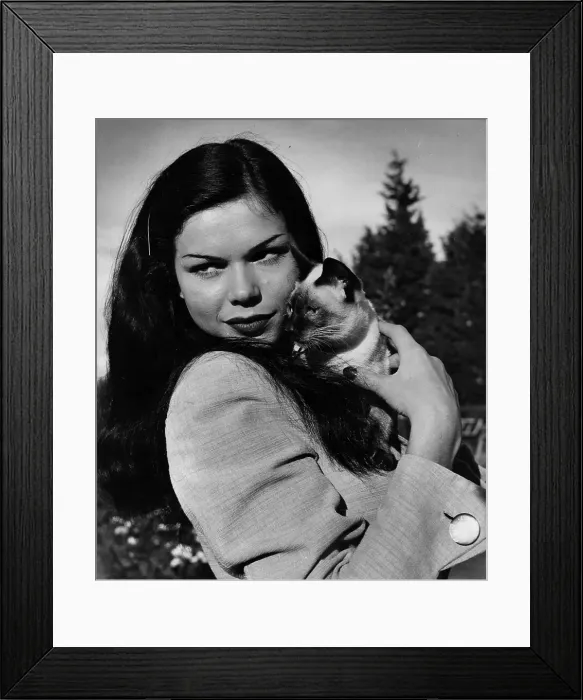 Framed Print : Laya Raki. 7th November 1953: The German-Javanese actress Framed Print : Laya Raki. 7th November 1953: The German-Javanese actress