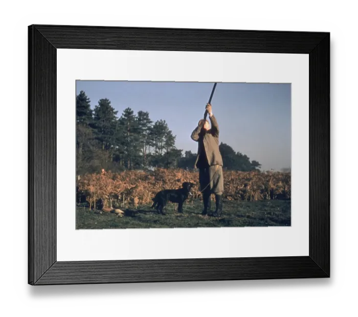 Framed Print : Game Shoot Framed Print : Game Shoot