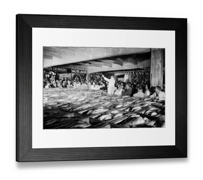 Framed Print : Fish Market Framed Print : Fish Market