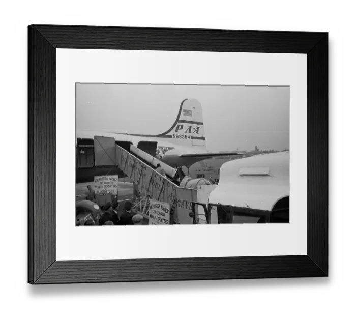 Framed Print : Leading A Horse Framed Print : Leading A Horse