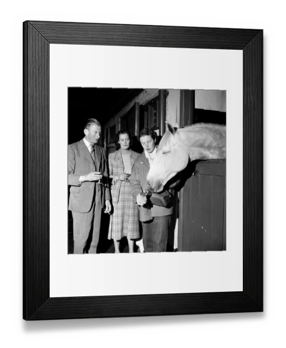 Framed Print : Toasting The Horse Framed Print : Toasting The Horse