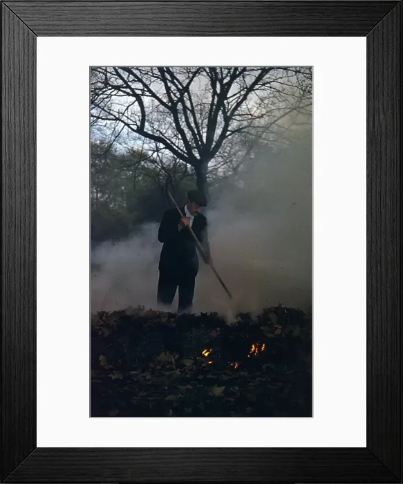 Framed Print : Fire In The Forest Framed Print : Fire In The Forest