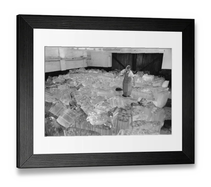 Framed Print : Standing On Ice Framed Print : Standing On Ice