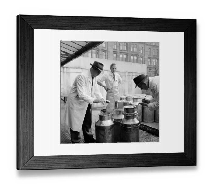 Framed Print : Dairy Check Framed Print : Dairy Check