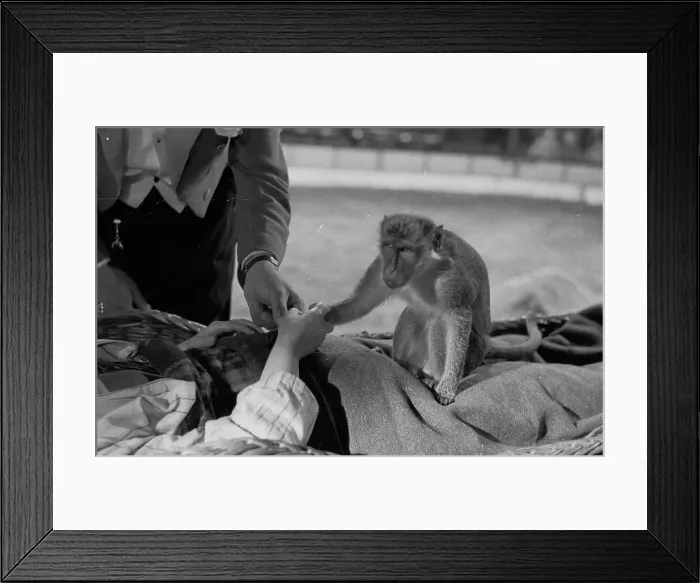 Framed Print : Mikki And Rose Framed Print : Mikki And Rose
