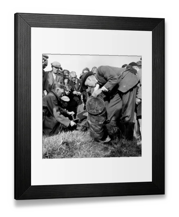 Framed Print : A Good Catch Framed Print : A Good Catch
