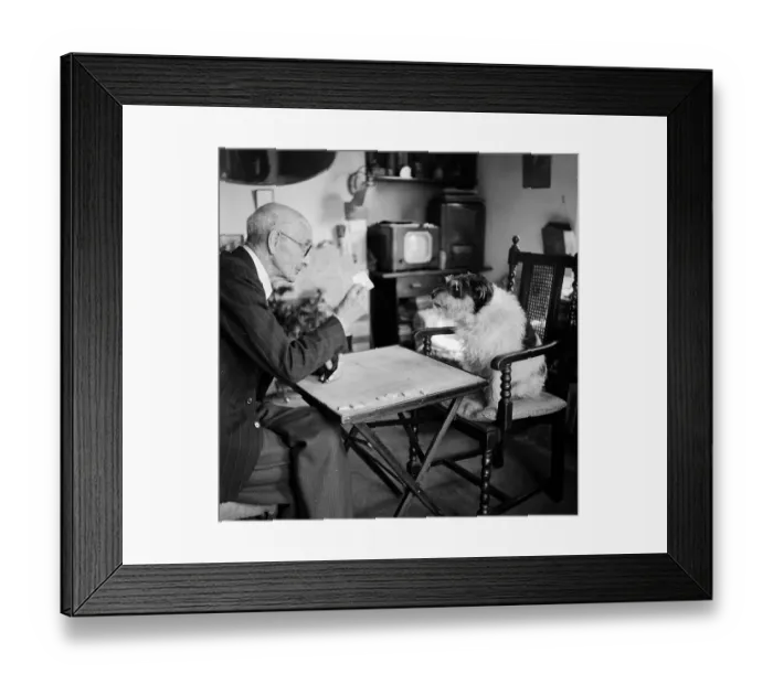 Framed Print : Snap Dog. 29th August 1953: Reginald Andrew playing snap with his English terrier Bill Framed Print : Snap Dog. 29th August 1953: Reginald Andrew playing snap with his English terrier Bill