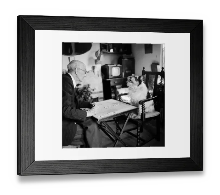 Framed Print : It's A Pair Framed Print : It's A Pair