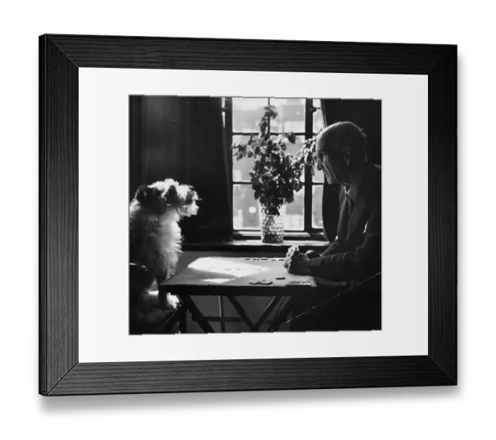 Framed Print : Card Shark Dog