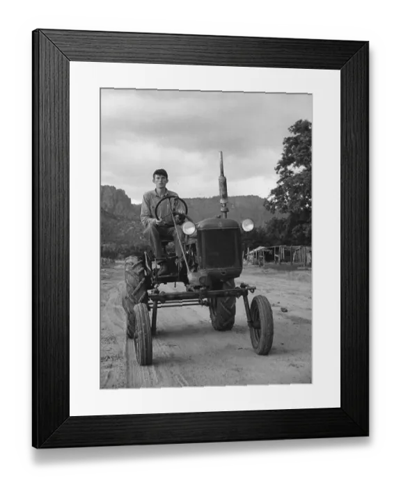 Framed Print : Man Driving Tractor Framed Print : Man Driving Tractor