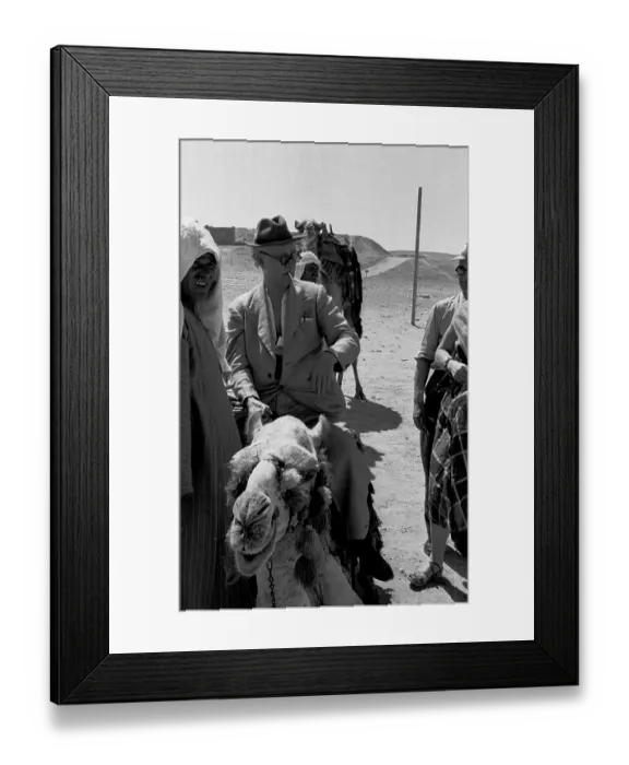 Framed Print : Camel Ride Framed Print : Camel Ride