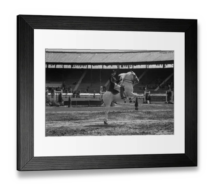 Framed Print : The Capriole Framed Print : The Capriole