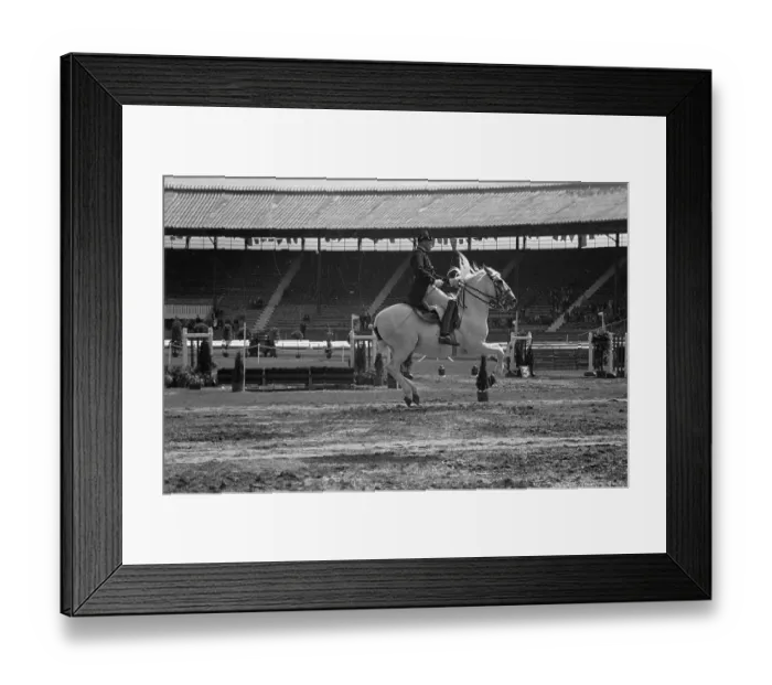 Framed Print : Above The Ground Framed Print : Above The Ground