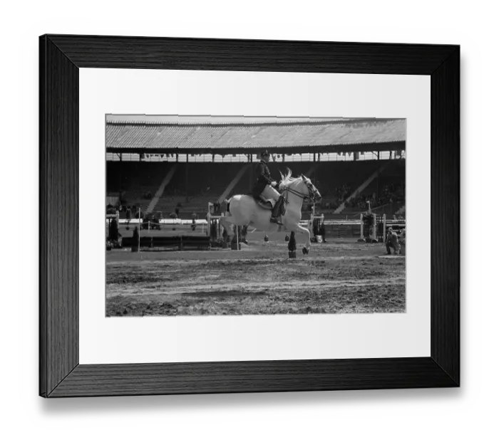 Framed Print : Ancient Chivalry Framed Print : Ancient Chivalry