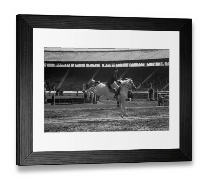 Framed Print : Vienna Riders Framed Print : Vienna Riders