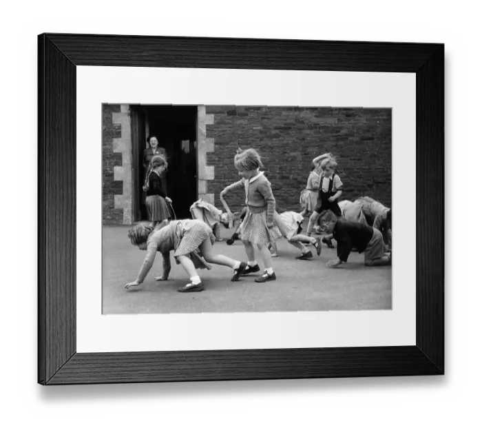 Framed Print : Lions & Tigers Framed Print : Lions & Tigers