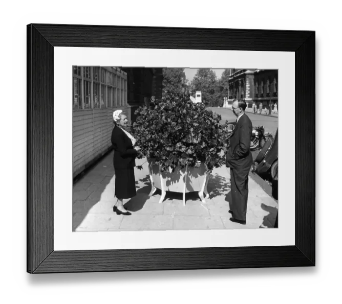 Framed Print : Constance Spry Framed Print : Constance Spry