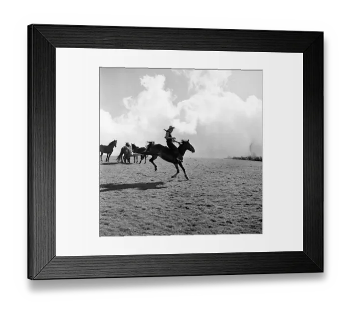 Framed Print : Devon's Cowboy Framed Print : Devon's Cowboy