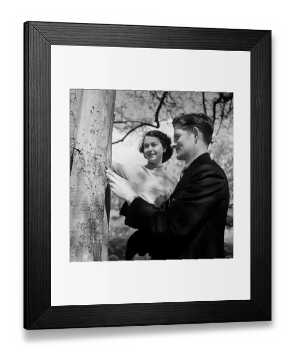 Framed Print : Honeymooners Framed Print : Honeymooners