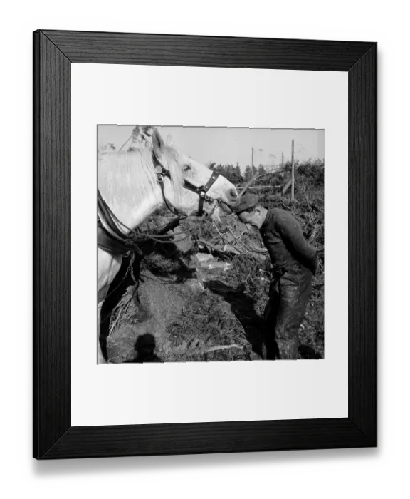 Framed Print : Horse's Hat Snack Framed Print : Horse's Hat Snack