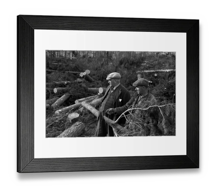 Framed Print : Fallen Forest Framed Print : Fallen Forest