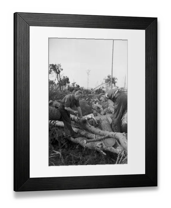 Framed Print : Clearance Work Framed Print : Clearance Work