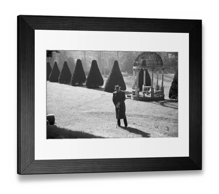 Framed Print : Garden Stroll Framed Print : Garden Stroll