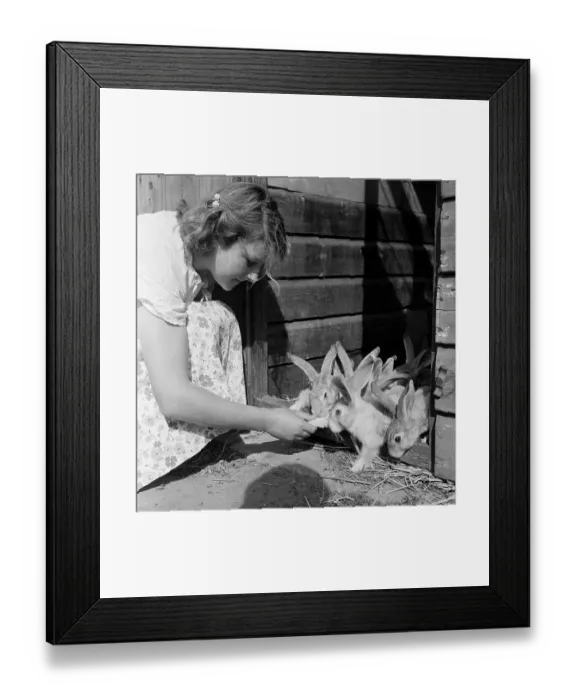 Framed Print : Rabbit Hutch Framed Print : Rabbit Hutch
