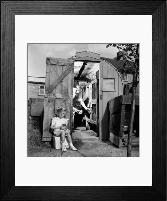 Framed Print : Guinea Pig Farm Framed Print : Guinea Pig Farm