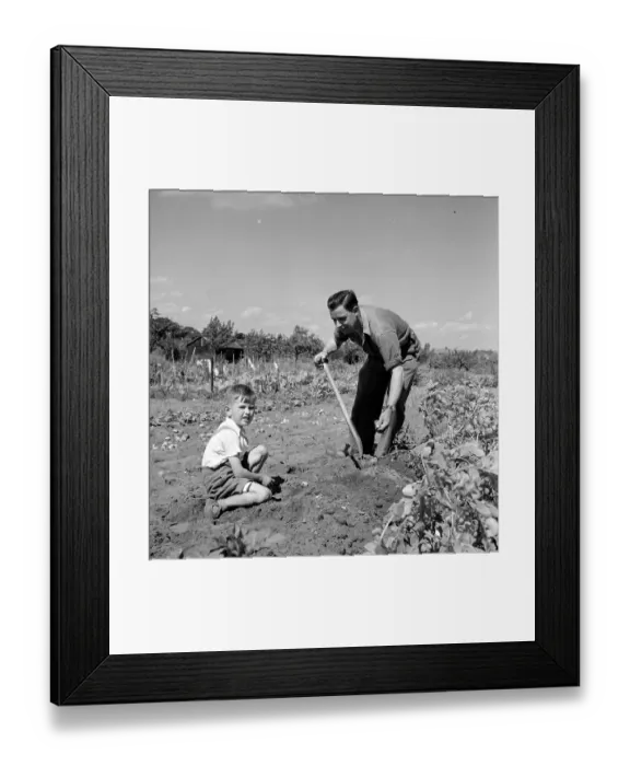 Framed Print : Market Gardener Framed Print : Market Gardener