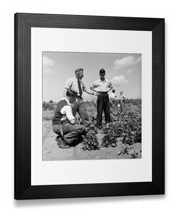 Framed Print : Self Sufficient