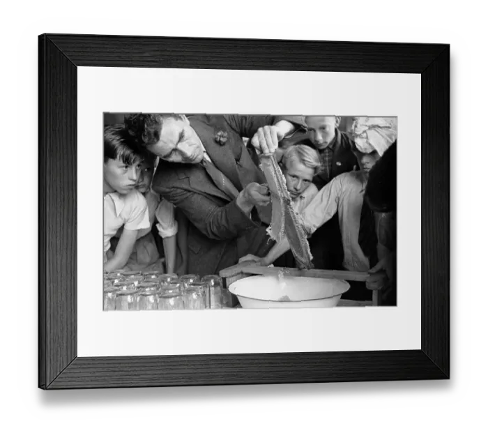 Framed Print : Honeycomb. 21st March 1953: A beekeper separating the honeycombs produced by his bees Framed Print : Honeycomb. 21st March 1953: A beekeper separating the honeycombs produced by his bees