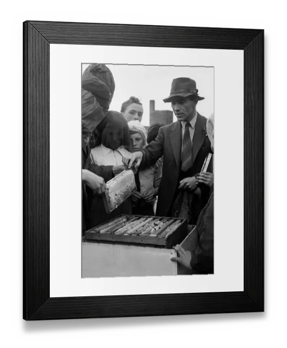 Framed Print : Bee Keeper Framed Print : Bee Keeper